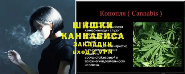 мдпв Богородицк