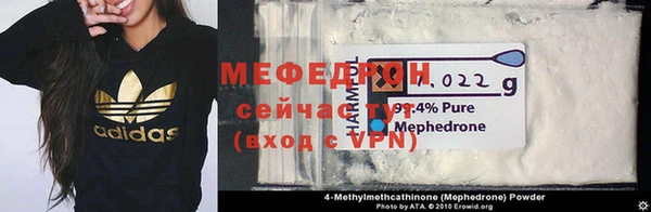 мдпв Богородицк