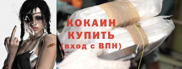 винт Богданович