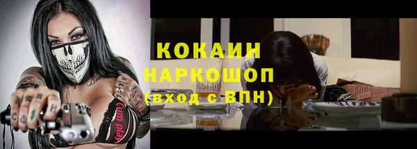 винт Богданович