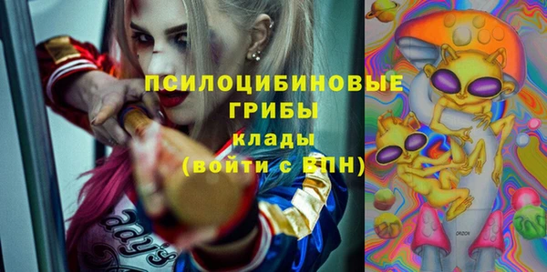 мдпв Богородицк