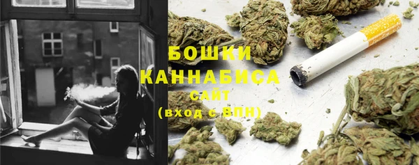 винт Богданович