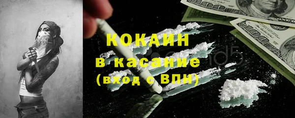 мдпв Богородицк