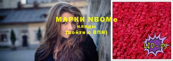 мдпв Богородицк